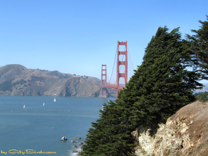 The Golden Gate, San Francisco.   A City Birds digital photo.