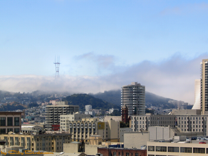 The Sun shines over San Francisco, but the fog is getting ready to come in.  A City Birds digital photo.
