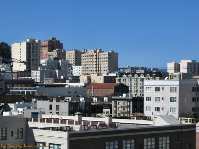 Indian Summer, View One, in San Francisco.  A City Birds digital photo.