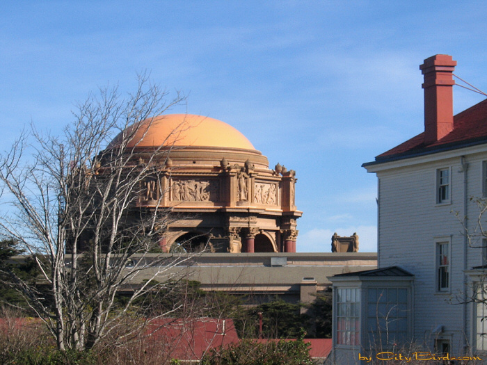 Letterman Hospital and Palace of Fine Arts in San Francisco.  A City Birds digital photo.