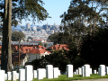 View from San Francisco National Cemetery.  A City Birds digital photo.