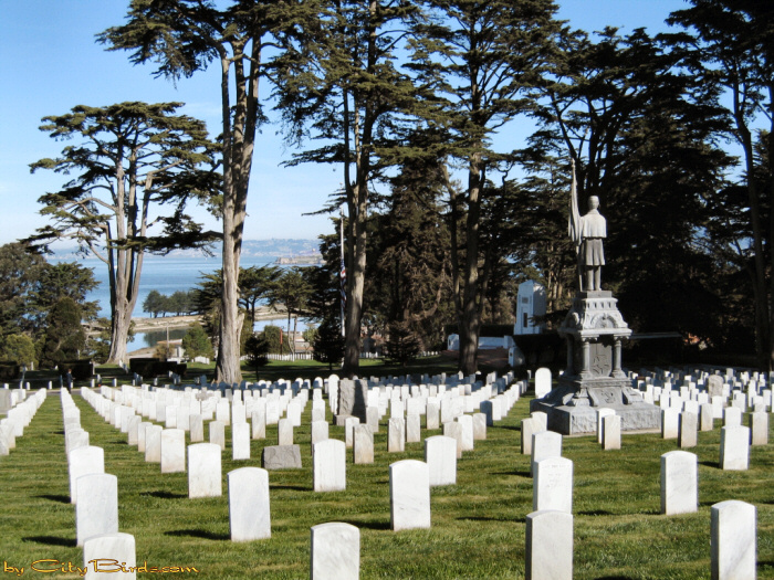 Views from San Francisco National Cemetery.  A City Birds digital photo.