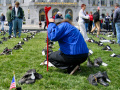Empty Boots Project.  A City Birds digital photo.