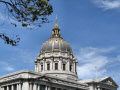San Francisco's City Hall Dome.  A City Birds digital photo.
