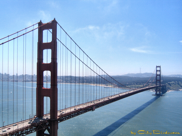 The Golden Gate Bridge from Battery Spencer.  A City Birds digital photo.