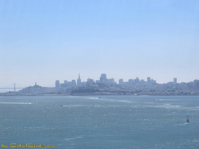 San Francisco Bay, Memorial Day 2005.  A City Birds digital photo.