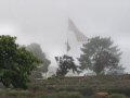 Foggy Day at Fort Miley, San Francisco.  A City Birds digital photo.
