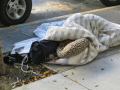 A homeless person, San Francisco.