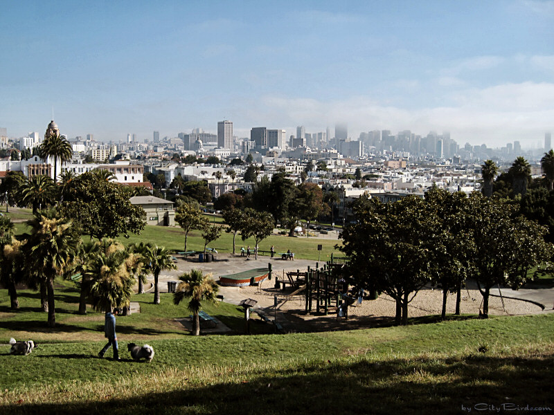 Skyline of San Francisco from Dolores Park
