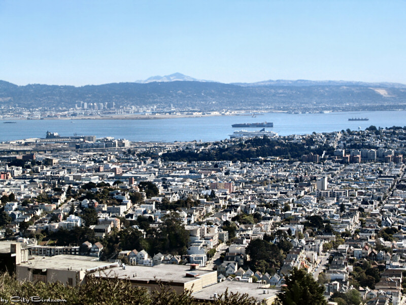Southeast San Francisco Panorama