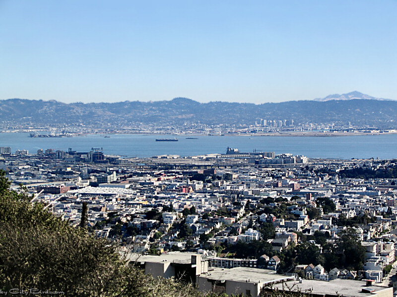 Eastern San Francisco Panorama