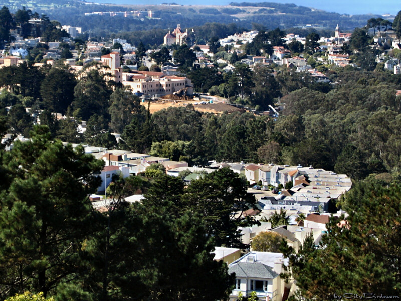 Western View of San Francisco from Twin Peaks