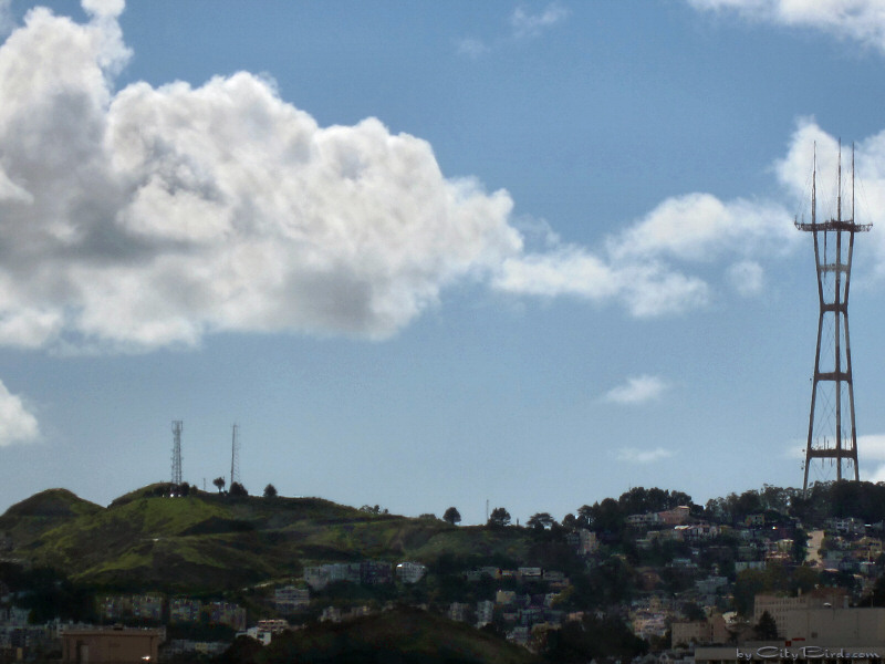 Twin Peaks and Mount Sutro, SF