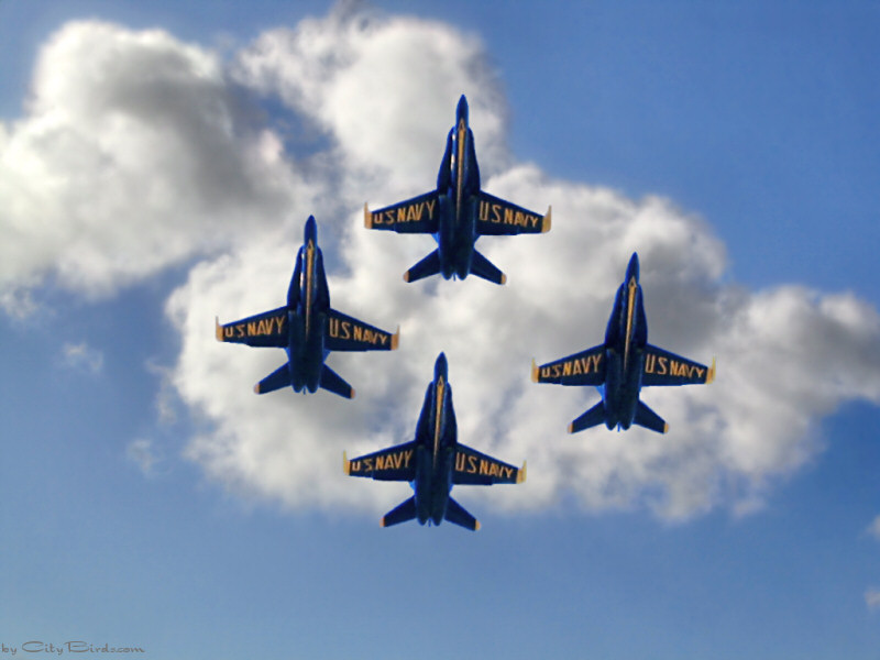 The Blue Angels over San Francisco