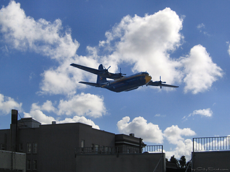 The Blue Angels' C-130 over San Francisco