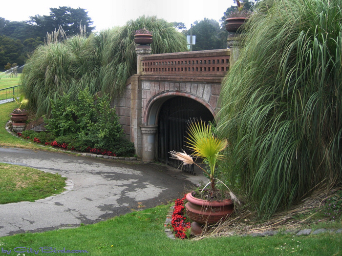 Golden Gate Park Conservatory of Flowers, San Francisco.