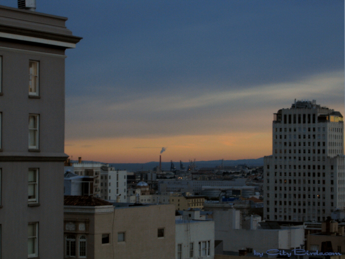 San Francisco December Twilight.
