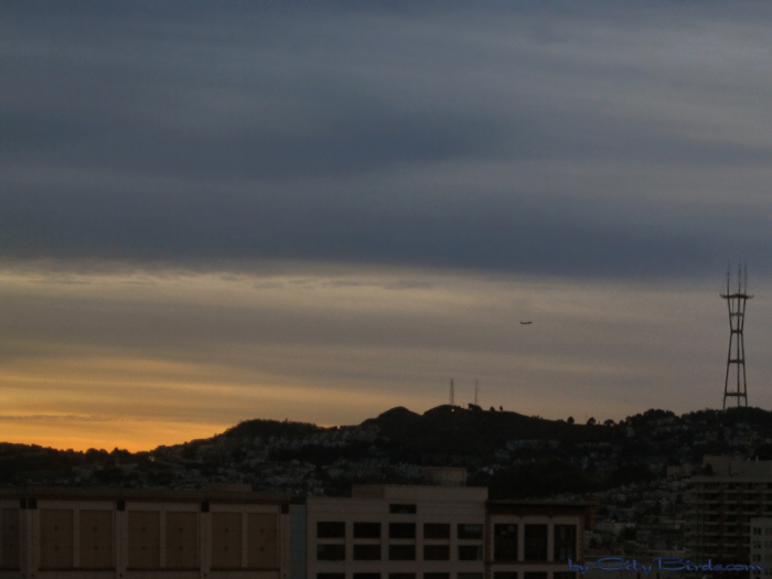 San Francisco Twilight.