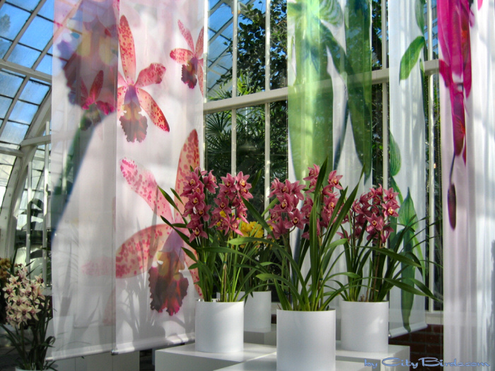 Modern Art of the Orchid Exhibit.