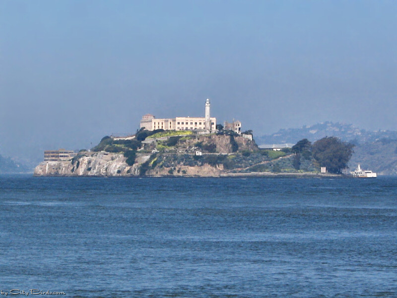 Alcatraz Island on San Francisco Bay