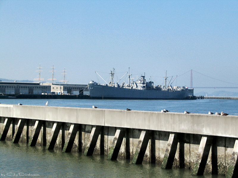 Liberty Ship O'Brien from Pier 39, San Francisco