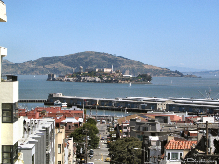 Alcatraz Island.