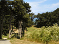 Point Lobos Path.