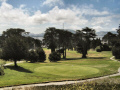 Lincoln Golf Course, Mt. Sutro in Background.