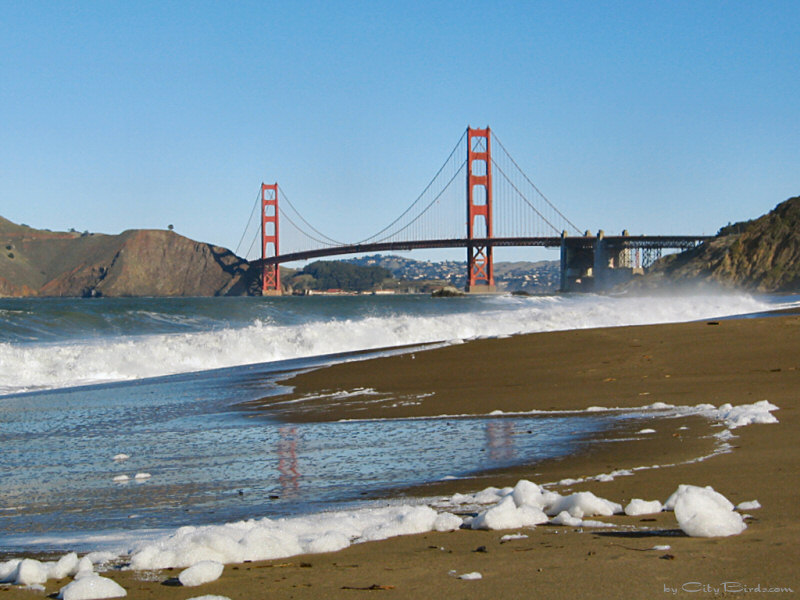 Baker Beach-Golden Gate Bridge