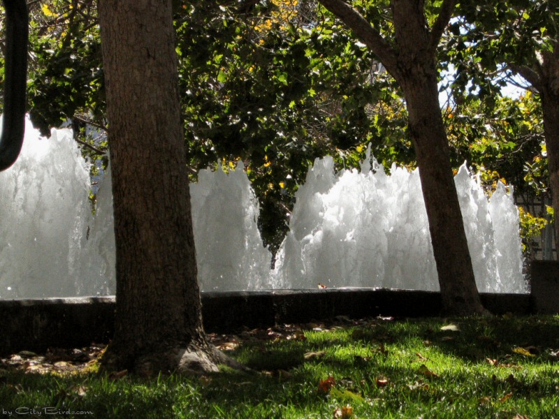 Yerba Buena Gardens, SF