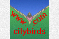 To City Birds Index Page