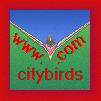 To City Birds Index Page