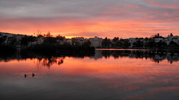 A  Lake Merritt, Oakland, Sunrise