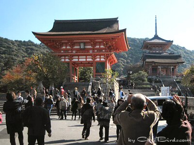 Looking Up Toward the Kiyomizu Temple Complex in Kyoto