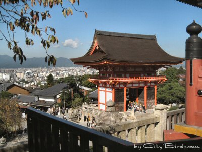 Looking Down at the Kiyomizu Temple Complex in Kyoto