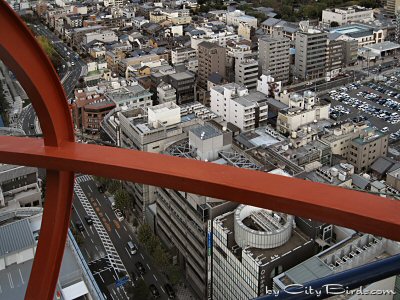 A View from the Landmark Kyoto Tower