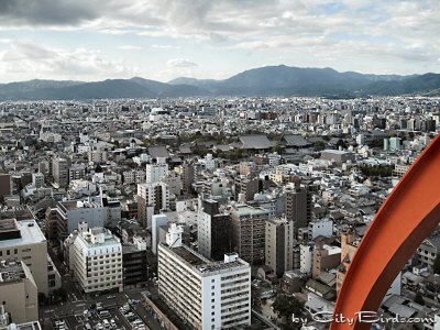 A View from the Landmark Kyoto Tower