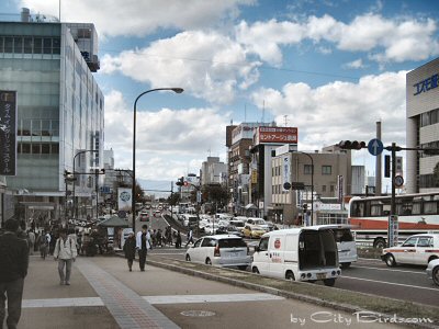 A Scene of Downtown Nara, Japan