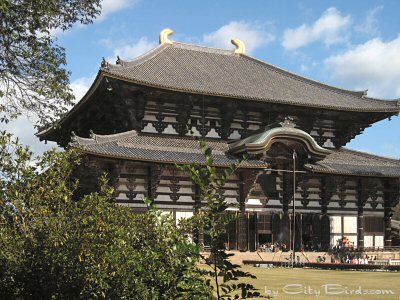 Great Buddha Hall at the Tōdai-ji Temple in Nara, Japan