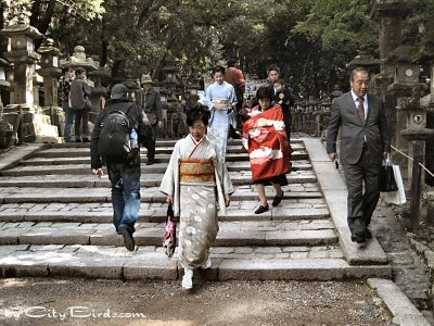 Ladies of Nara, Japan in Traditional Dress