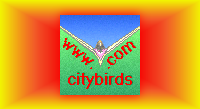 To City Birds Home Page