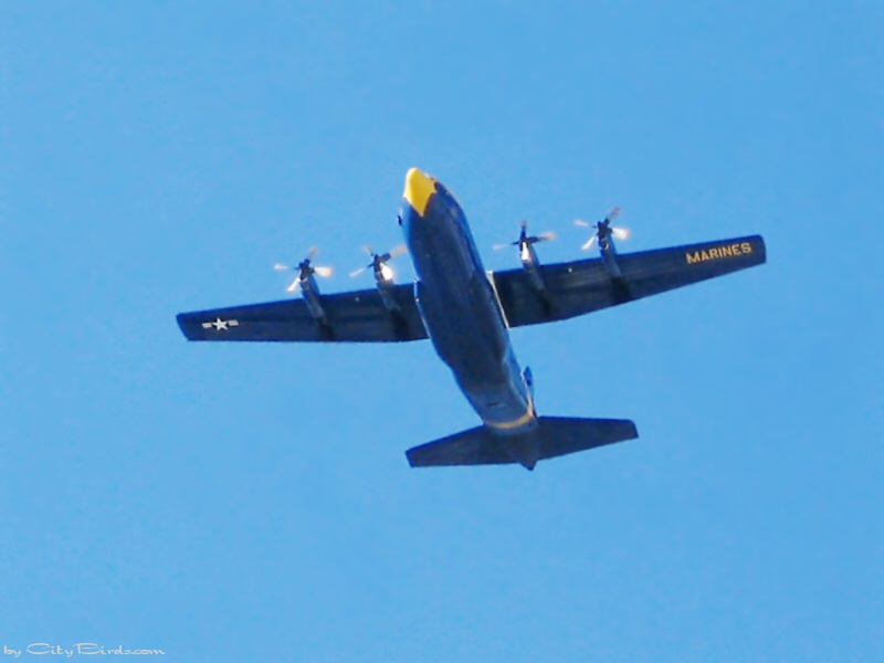Blue Angels