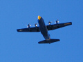 Fleet Week 2008 San Francisco