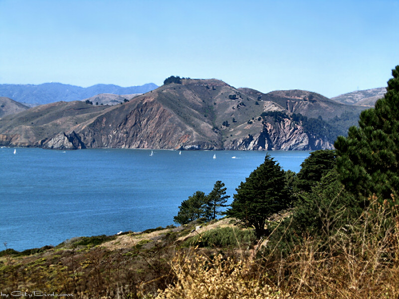 Marin Headlands