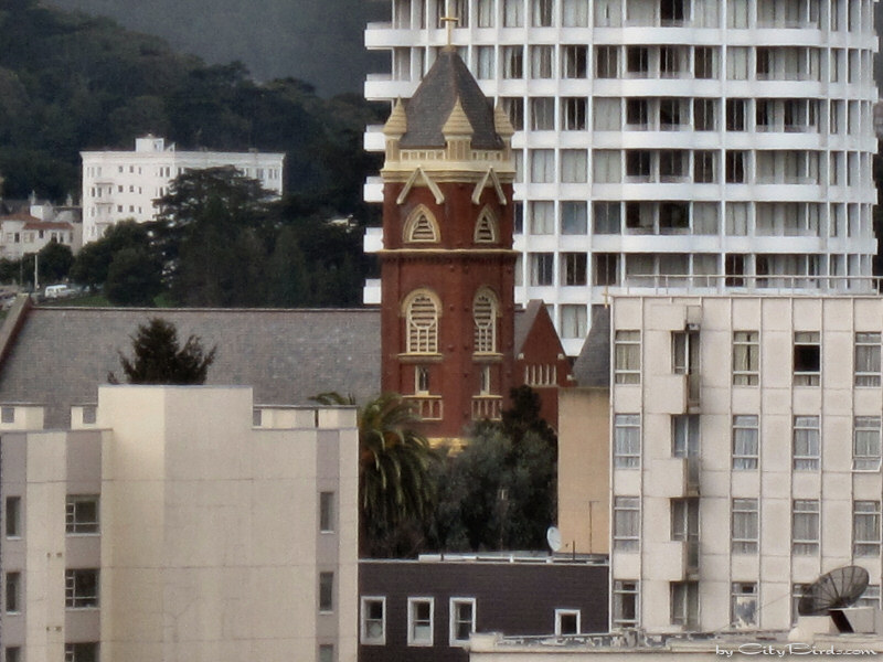 Red Brick Church, SF
