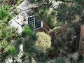 A San Francisco Courtyard