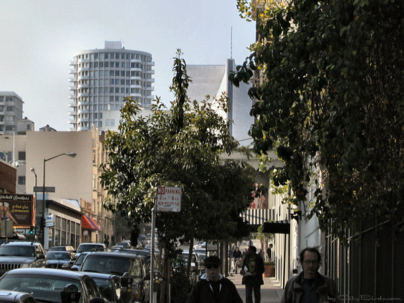 Street Scene