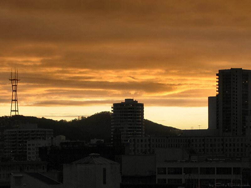 February Sunset in San Francisco