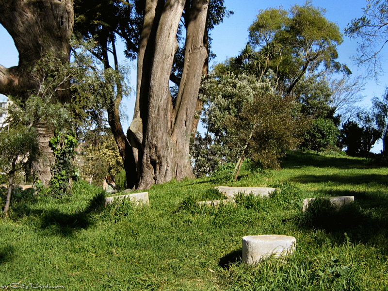 View of Lafayette Park, San Francisco