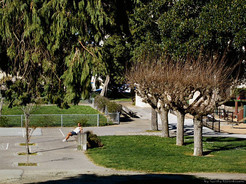 Lafayette Park during a winter morning